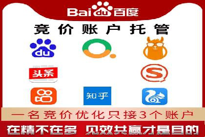 案例对比：不同竞价推广策略的优劣分析